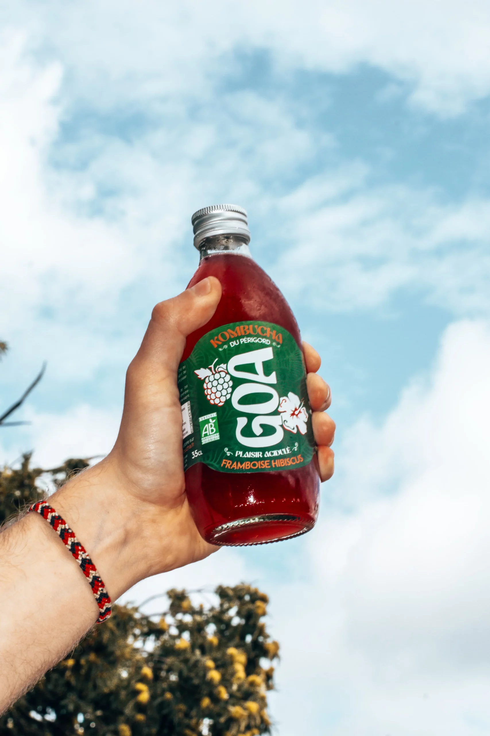 Main tenant une bouteille de kombucha GOA Framboise Hibiscus bio avec le ciel en arrière-plan.