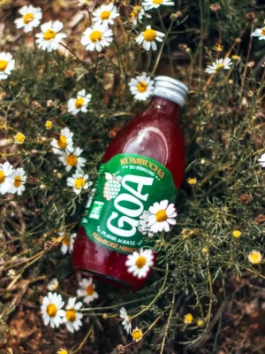 Bouteille de kombucha GOA Framboise Hibiscus bio posée dans un parterre de fleurs.