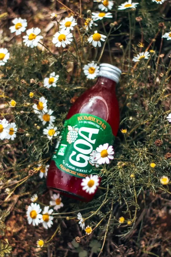 Bouteille de kombucha GOA Framboise Hibiscus bio posée dans un parterre de fleurs.
