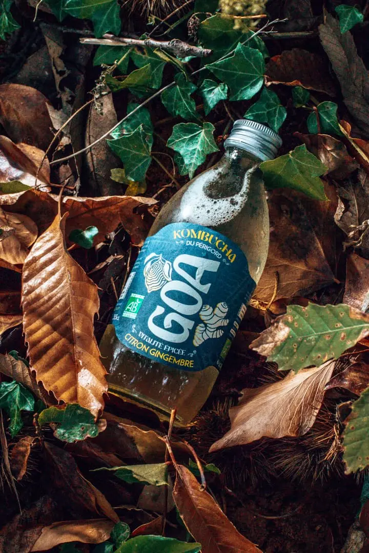 Bouteille de kombucha GOA Citron Gingembre bio posée sur un lit de feuilles fraîches.