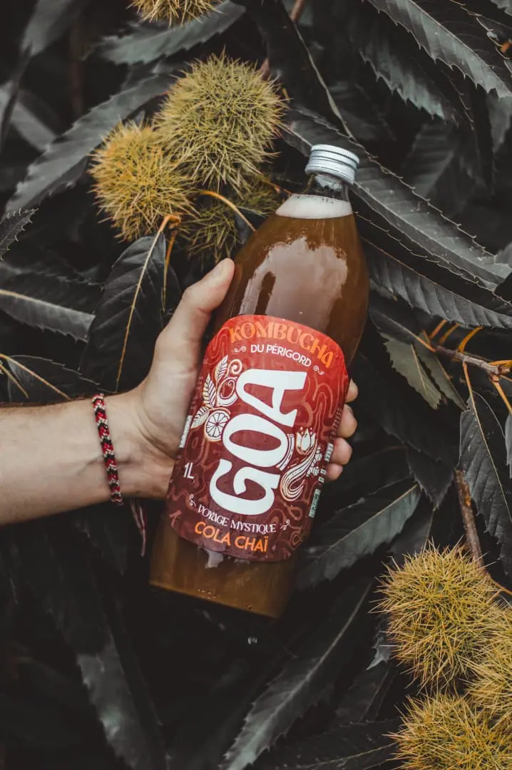 Bouteille de kombucha GOA saveur Cola Tchaï bio posée parmi des feuilles naturelles, boisson artisanale fermentée.