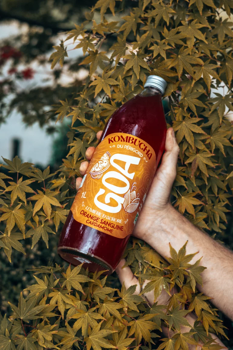 Bouteille de kombucha GOA saveur Orange Sanguine Cardamome bio posée parmi des feuilles naturelles.